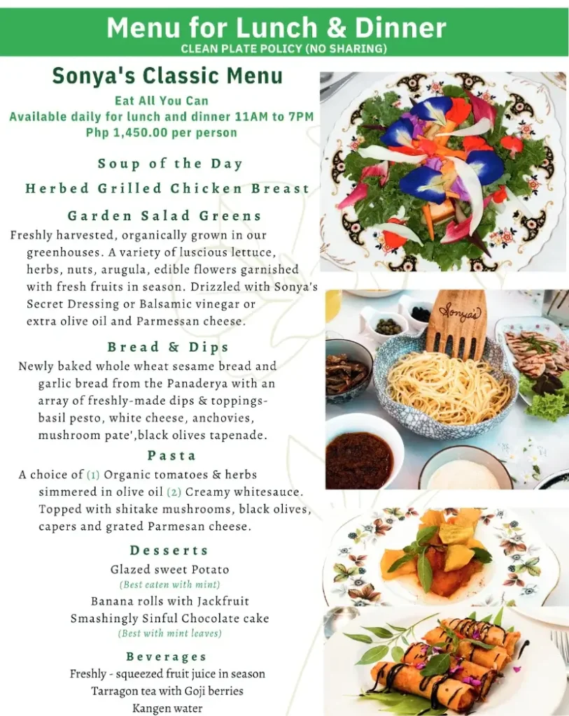 Sonya Garden Lunch and Dinner Menu with Prices